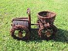 Auto aus Weide